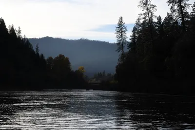 DSC_0298 (Large).JPG